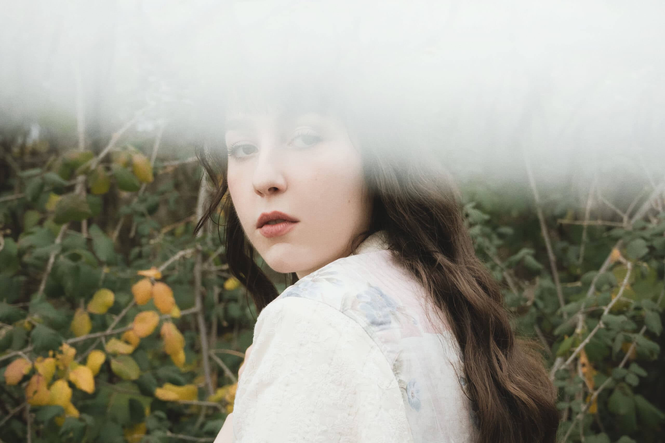 The Desert Song Alkyone